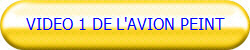VIDEO 1 DE L'AVION PEINT